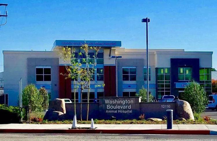 Washington Blvd Animal Hospital, California, Whittier